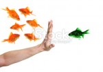 stock-photo-11070043-hand-discriminating-green-goldfish